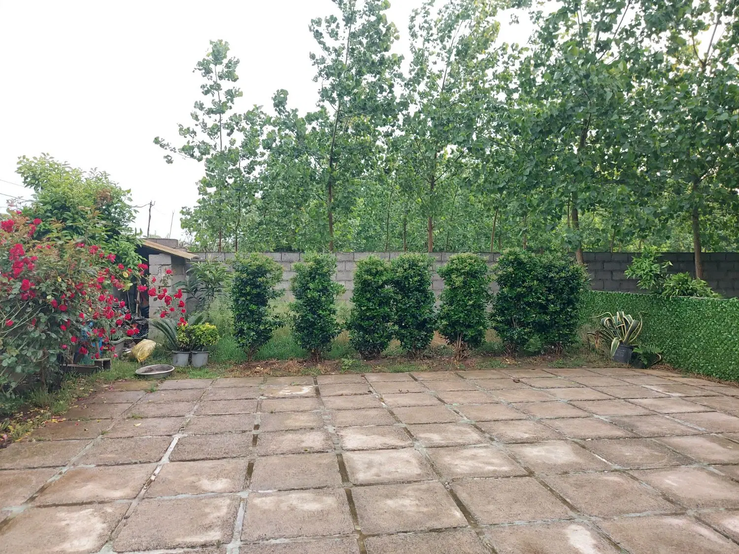 زمین مسکونی  ابکنار