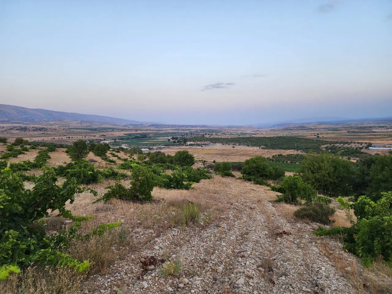 زمین کشاورزی