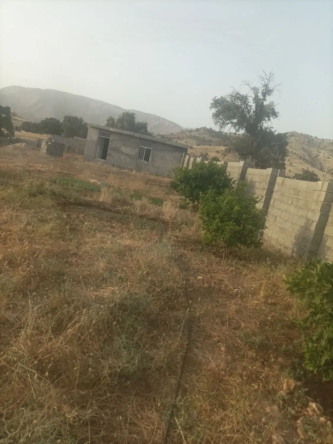 زمین ۲۱۰سرابتاوه خلیج فارس ۹