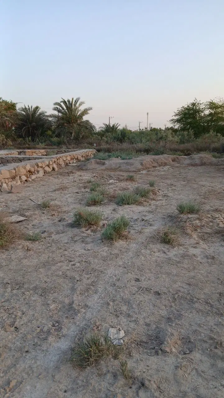 زمین محرزی نهر ۵