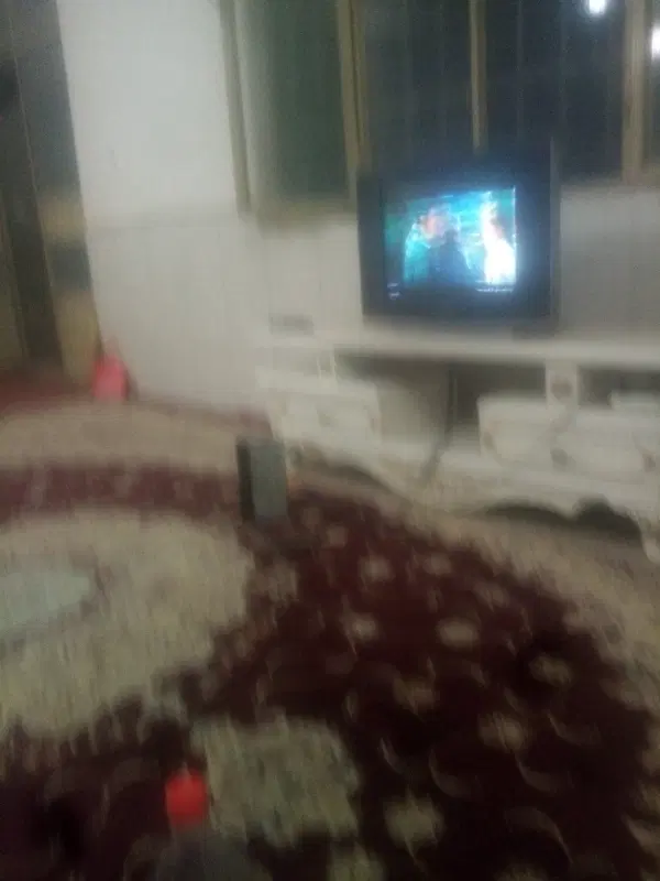 هم خونه