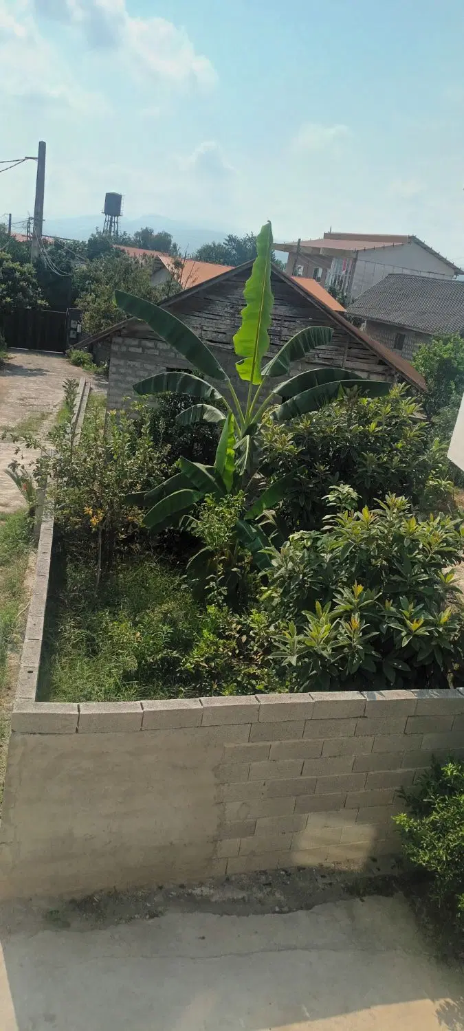 فروش یک قطعه زمین روستایی