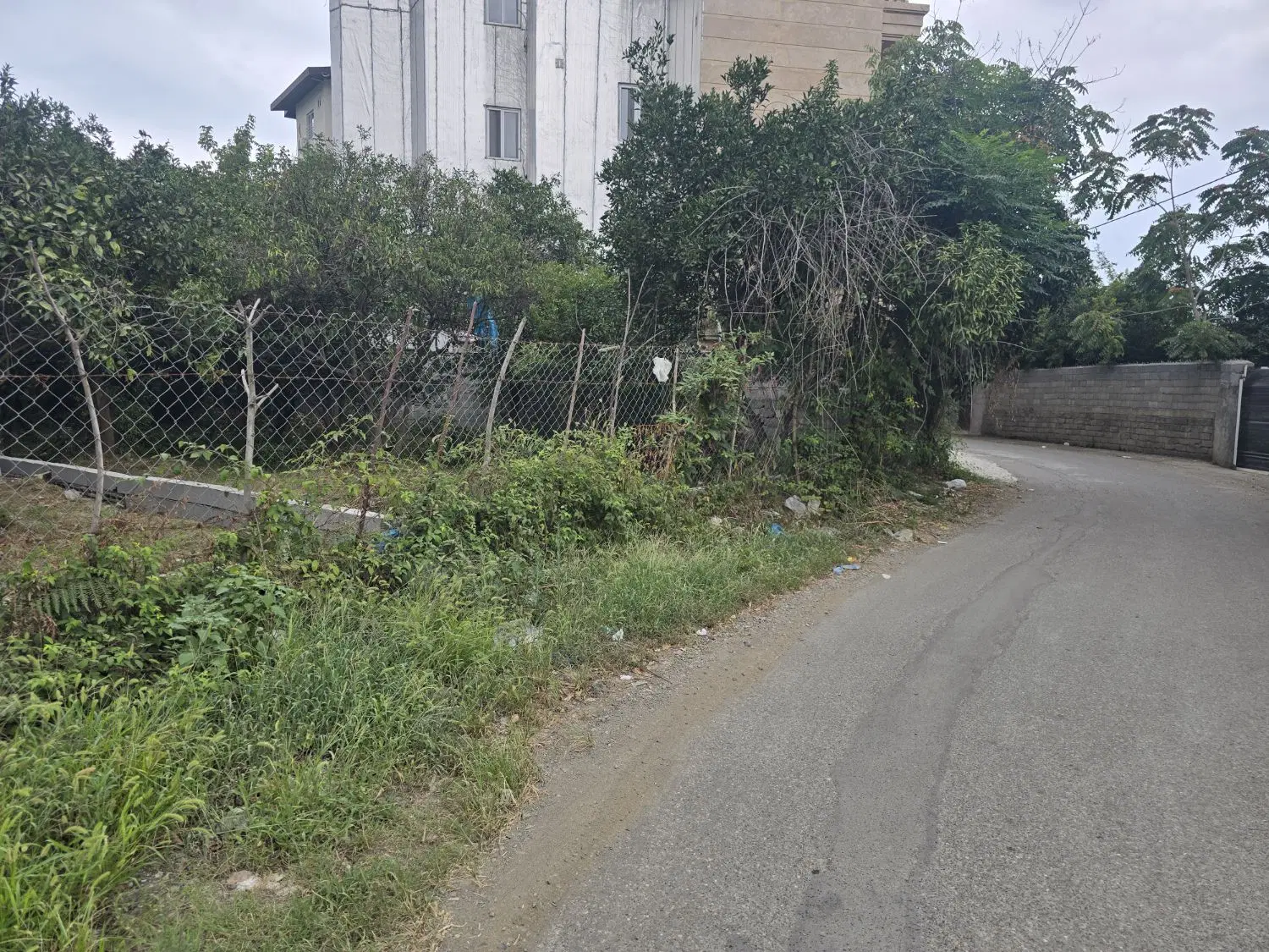 زمین رامسر بلوار طالقانی
