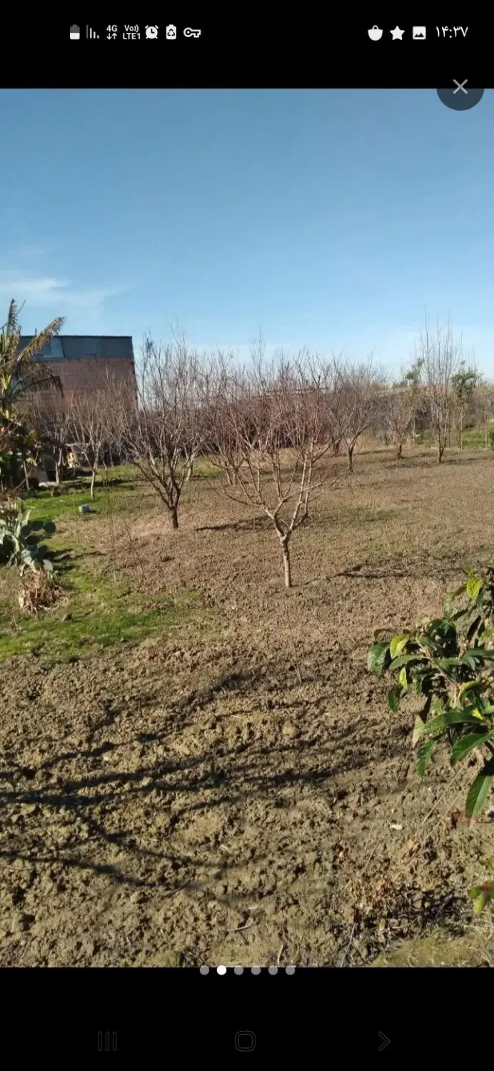 زمین باغی روستا محمد اباد گرگان