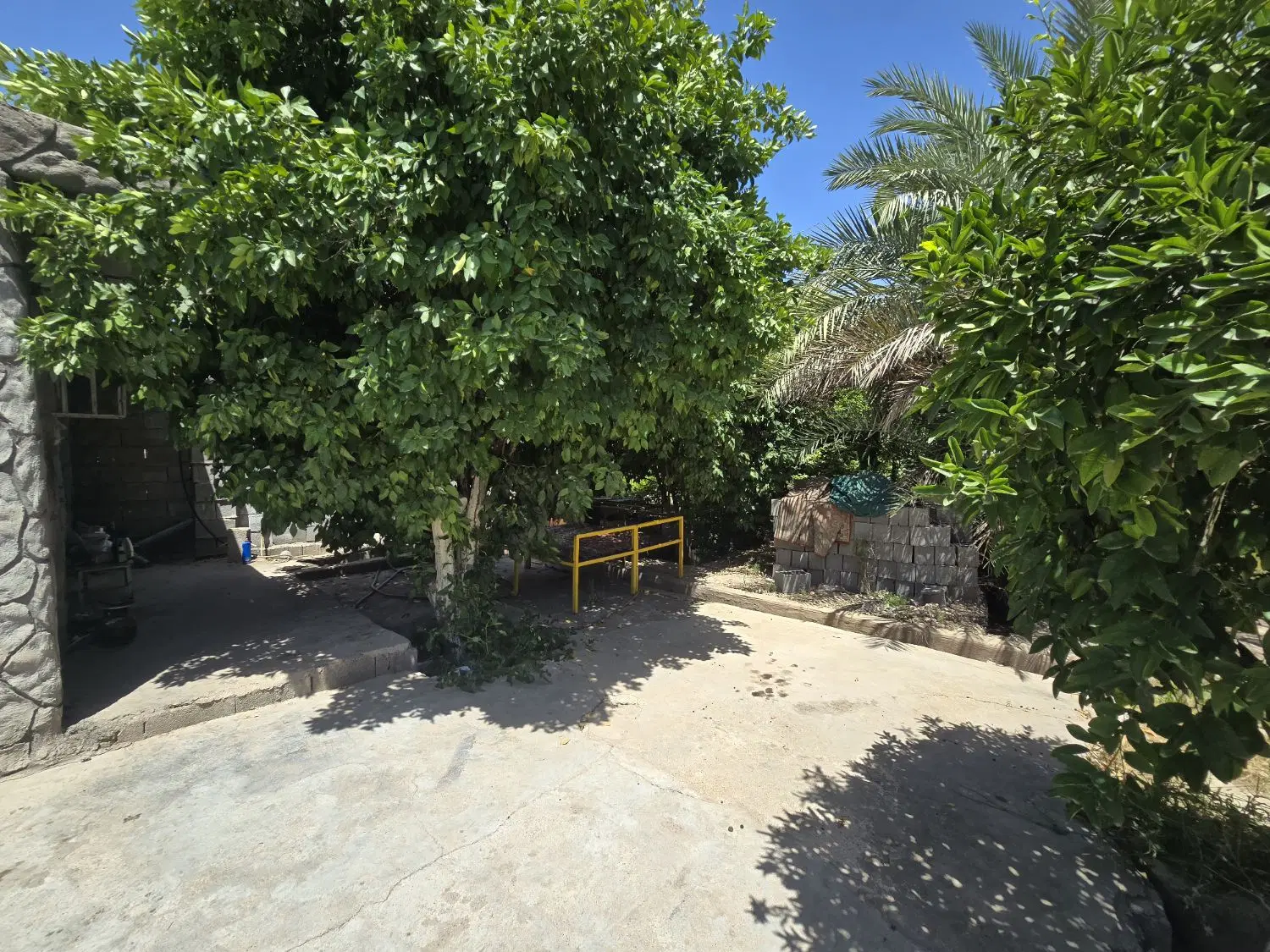 باغچه