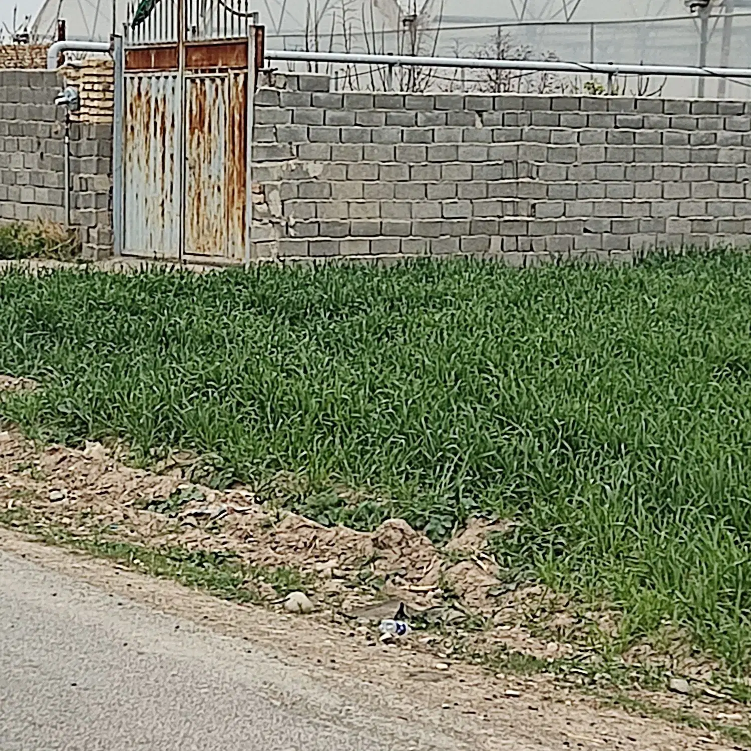 فروش زمین