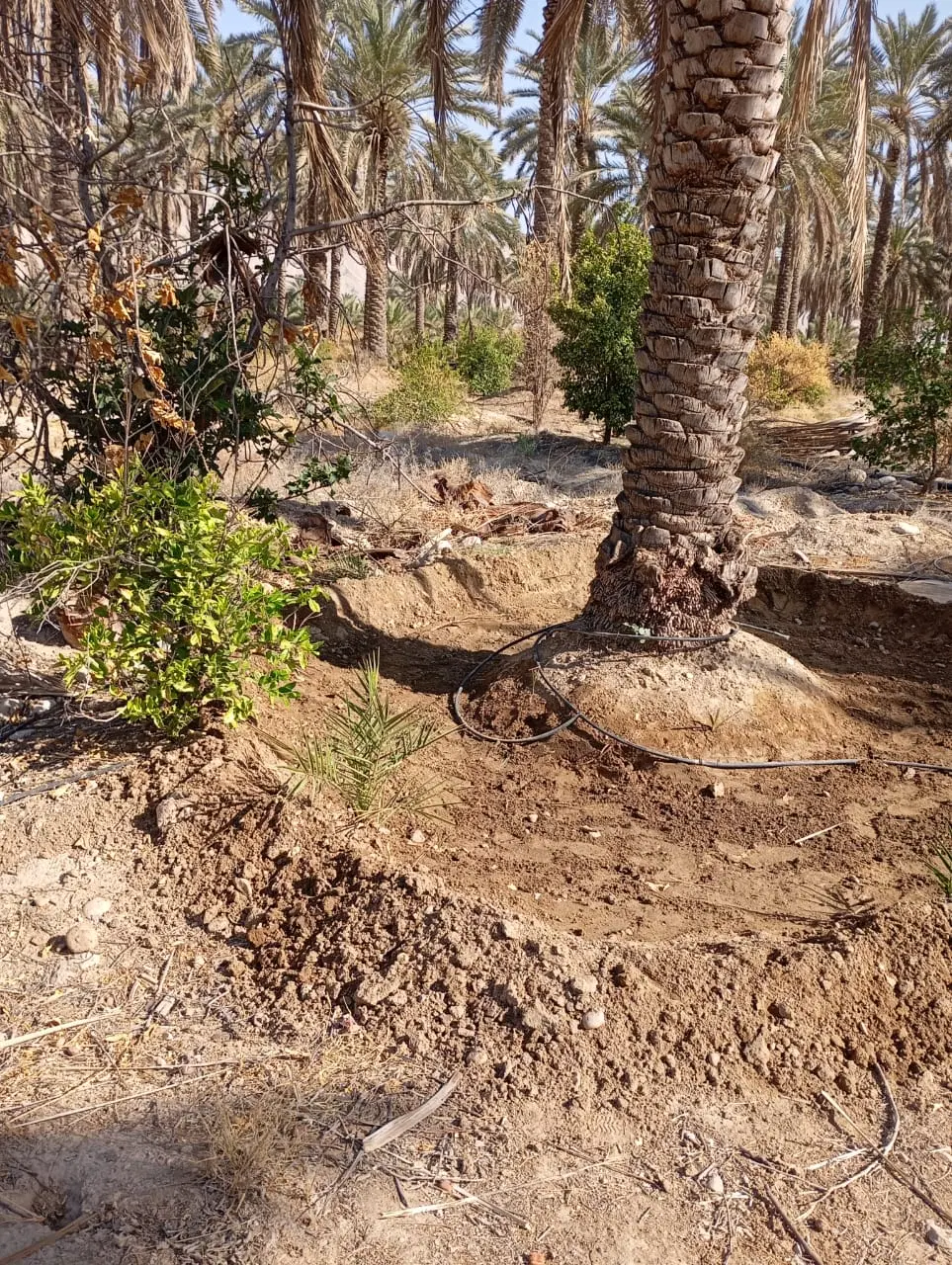 فروش باغ هگان