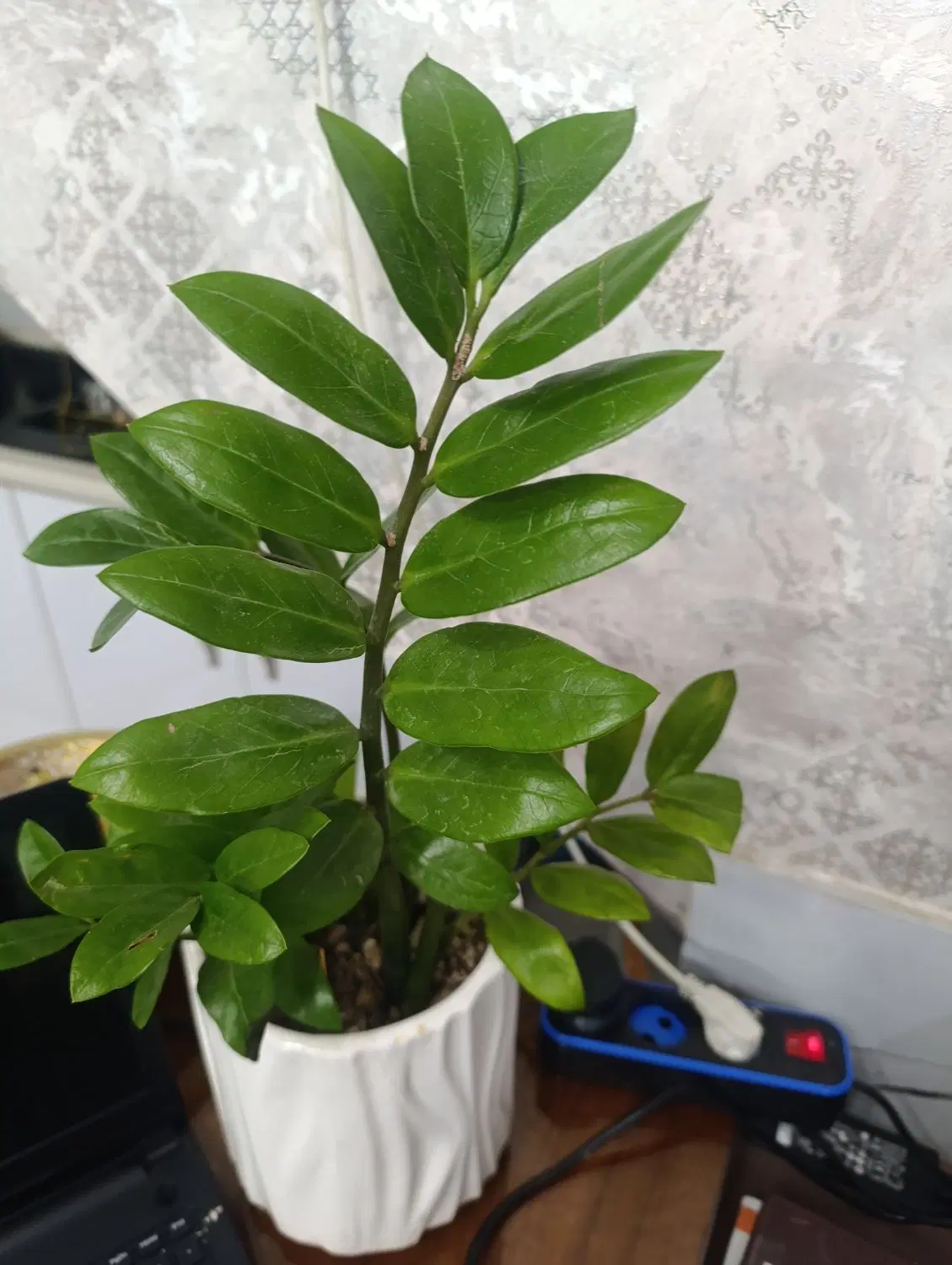 هوای مثبت ۳و۴