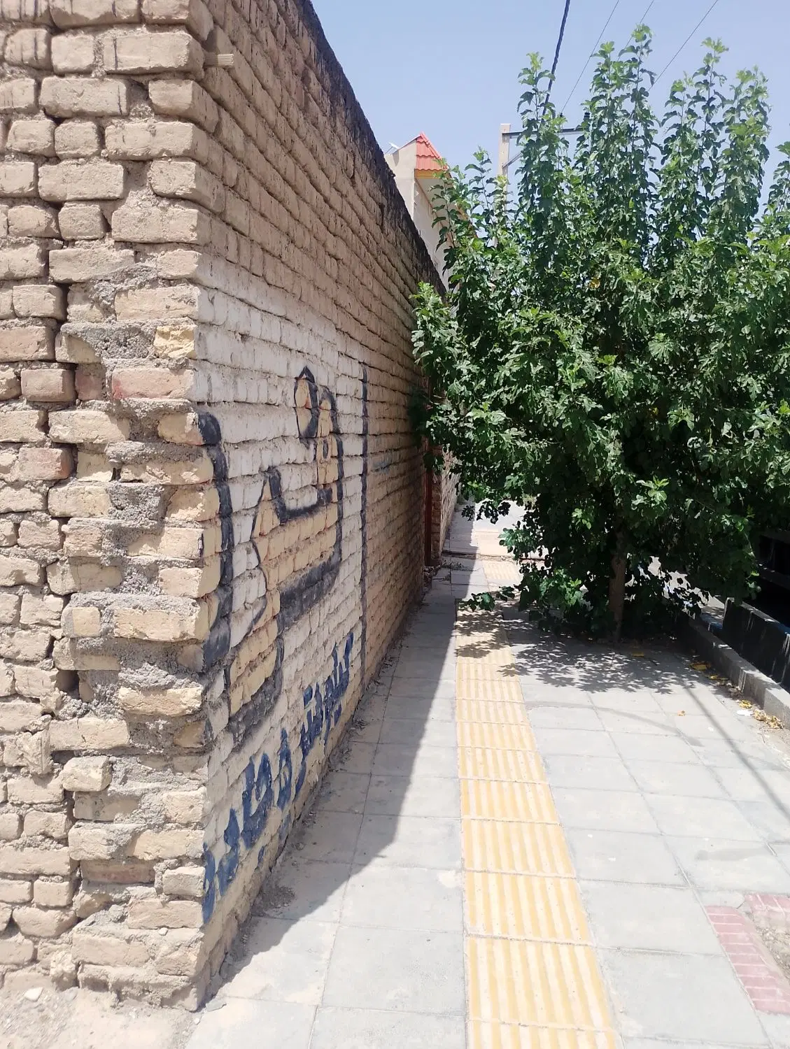 3 قطعه زمین مسکونی ویک قطعه زمین موقعیت تجاریفروشی