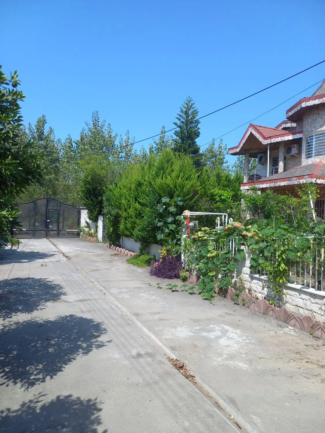 مازندران عباس اباد بورایش