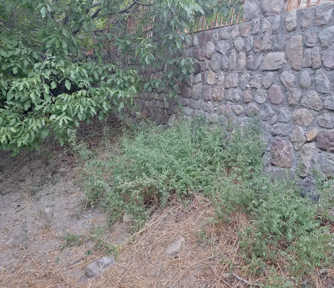 فروش خانه و  زمین مسکونی در زرین دشت