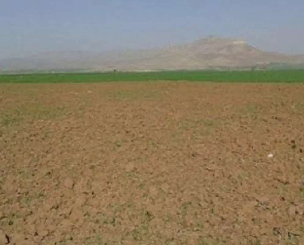 زمین ویلایی ۱۸۰۰ متر
