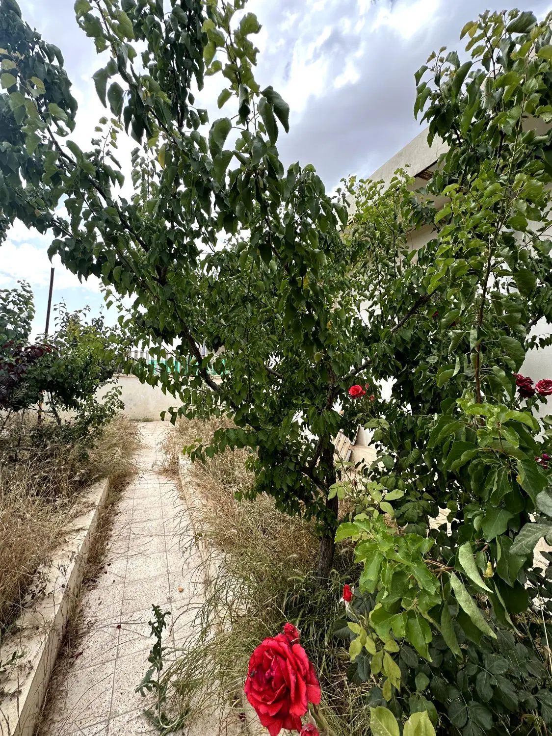 ویلایی  شهر توریستی دررود
