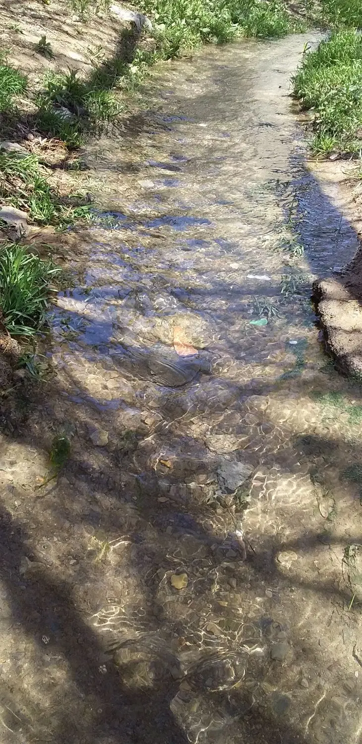 زمین مسکونی و تجاری