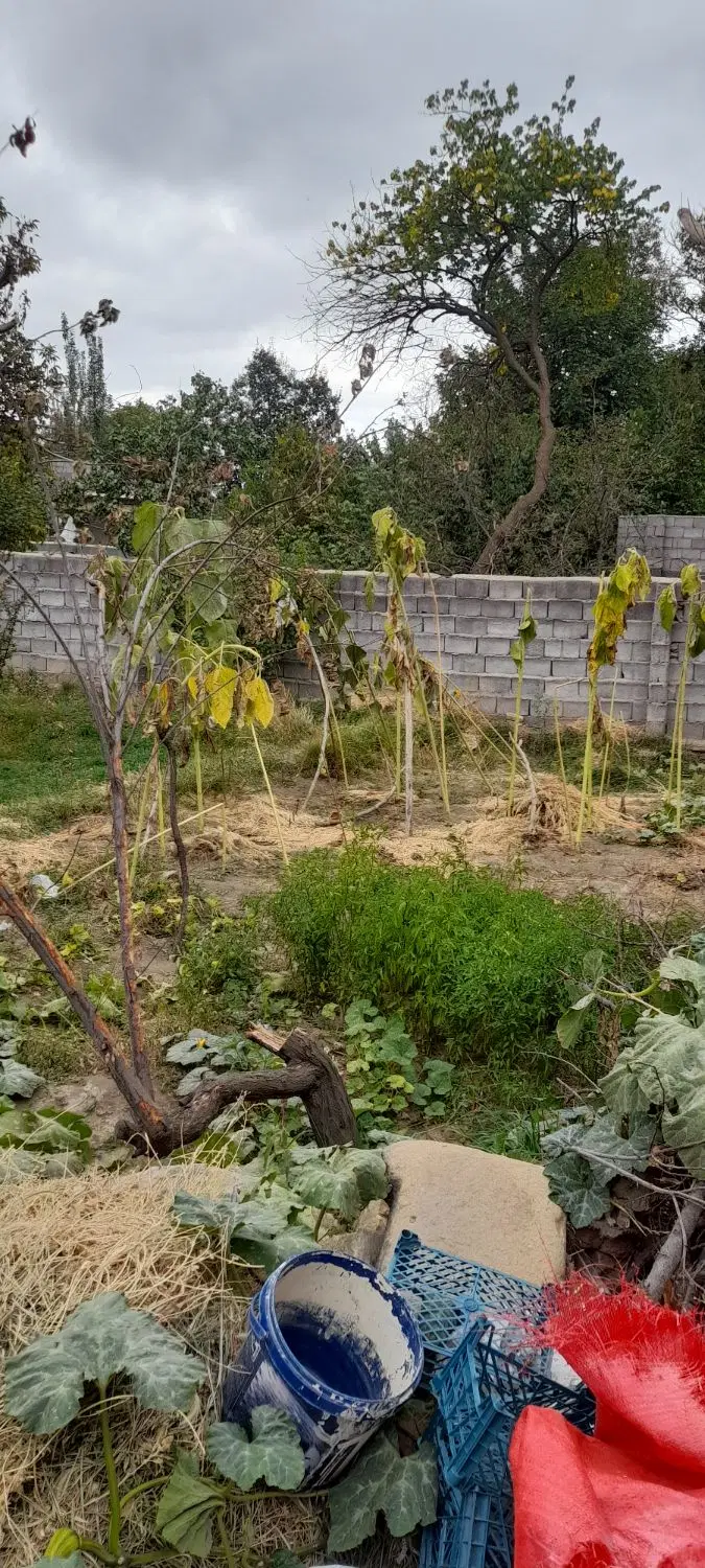 فروش باغ