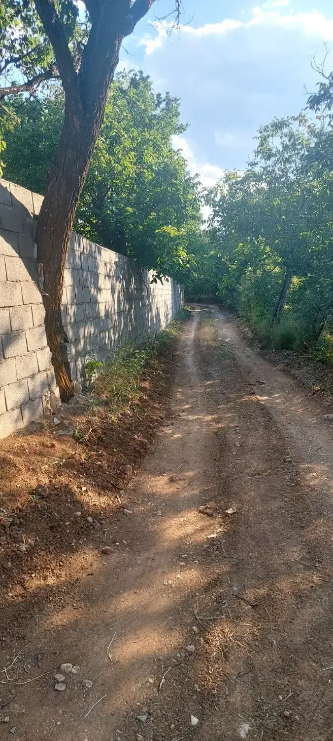 ویلا باغ