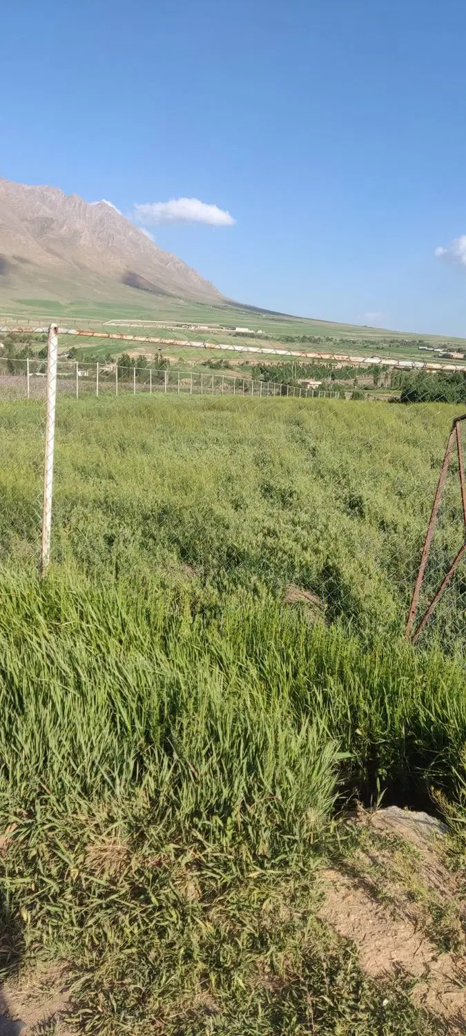 زمین باغی در باغ شهر استانه