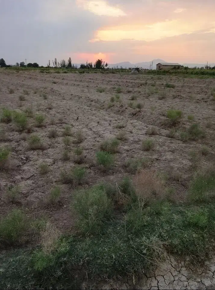 زمین ۱۵۸۳ متری باروج مرند،نزدیک بافت،قیمت استثنایی