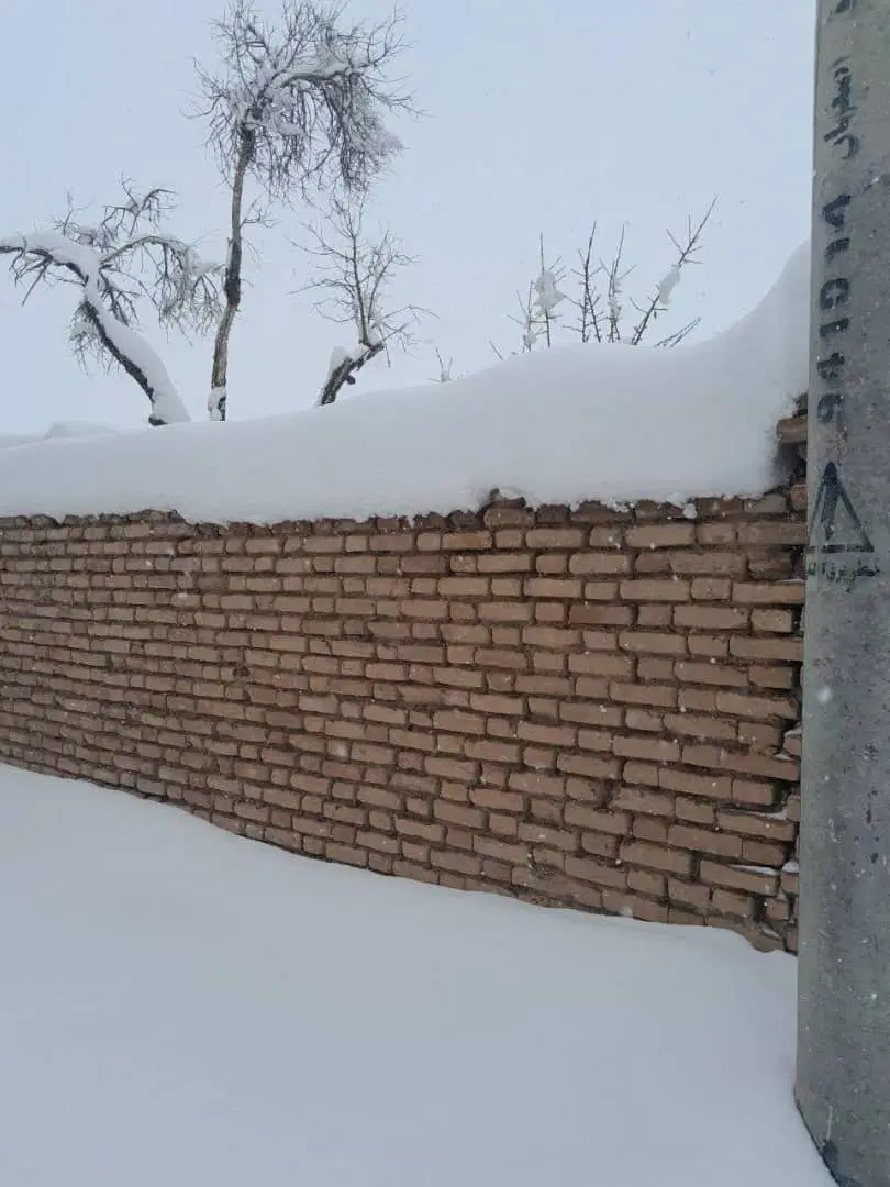 مغازه  اجاره