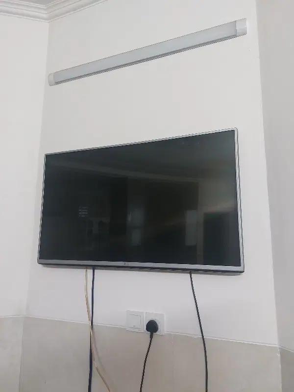 همخونه موجه