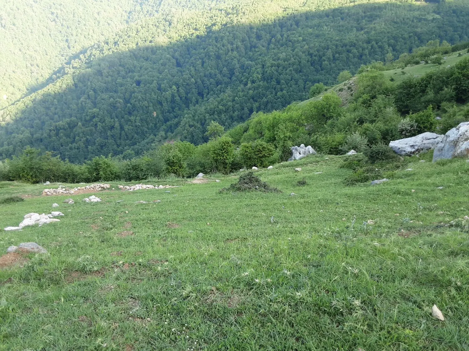 زمین مسکونی