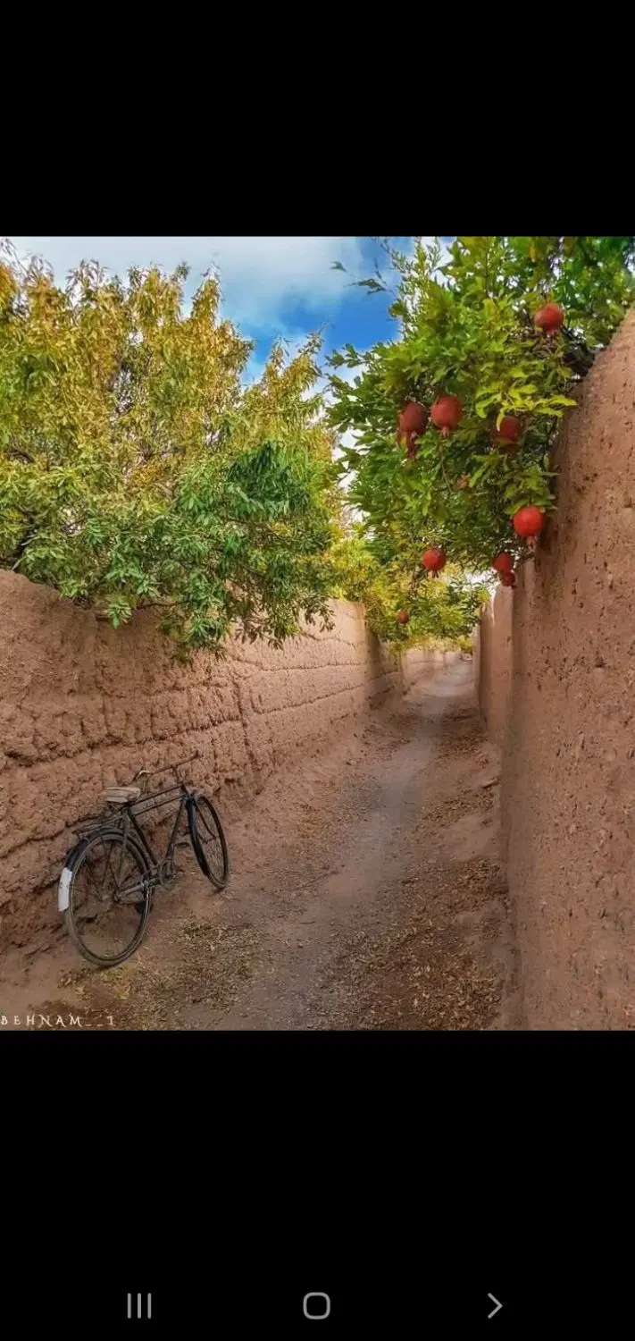 بور س باغات جهآدآباد