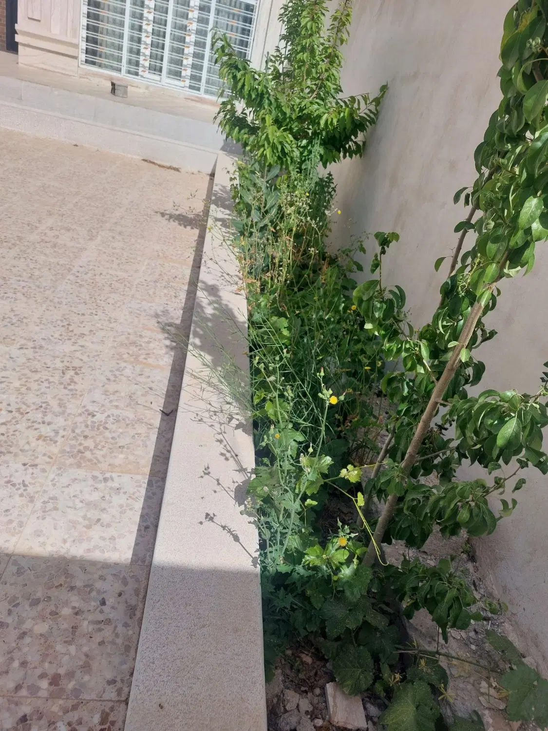 فروش ویلا در سیسخت