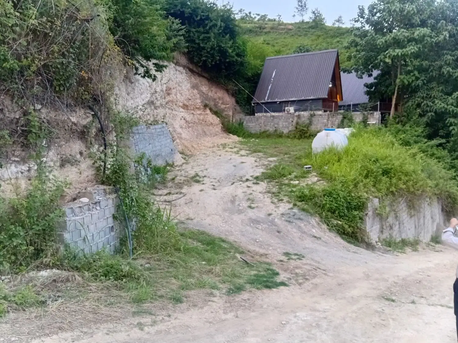زمین جنگلی در روستای بالفکلا ویو ابدی