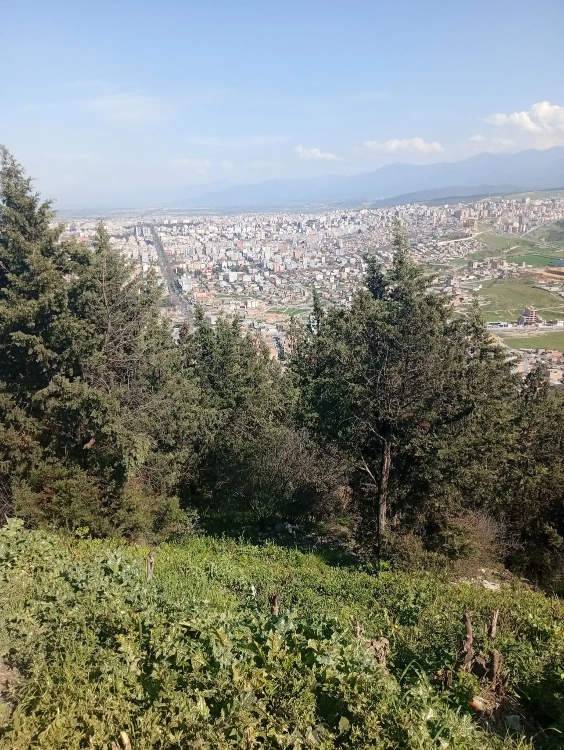 زمین تو خیابان دانشگاه