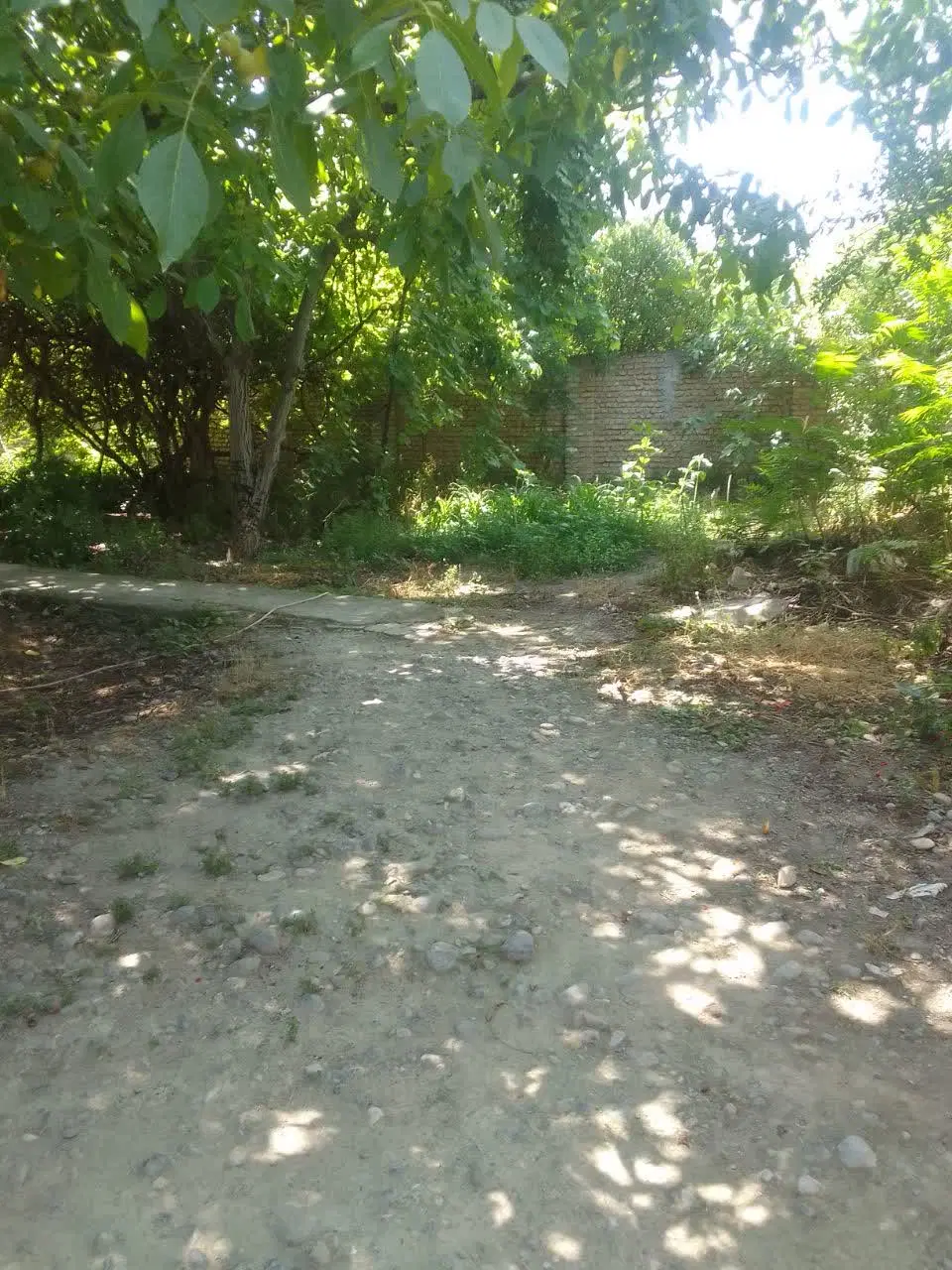زمین و خانه ویلایی در جلین