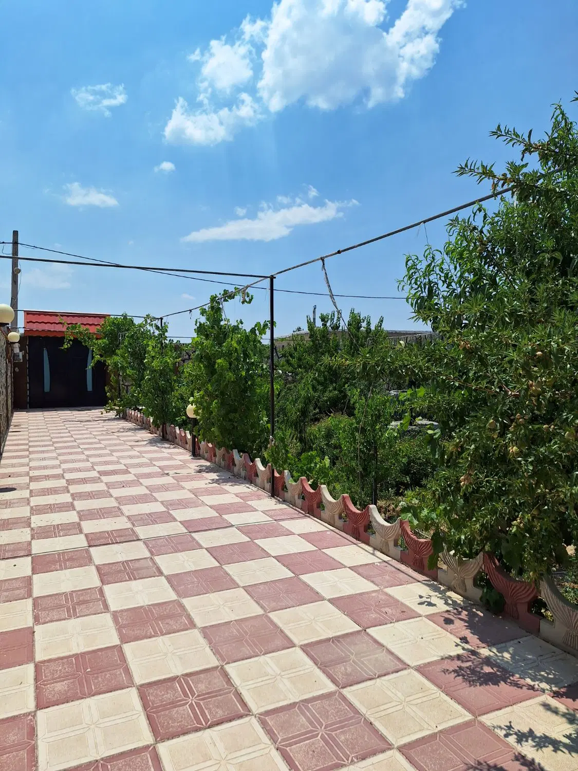 خانه باغ در ینگی کند