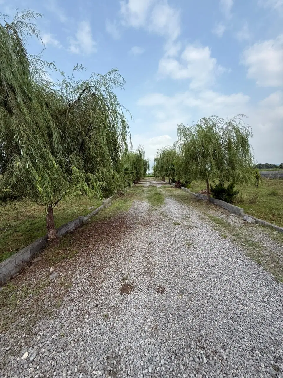 زمین با پروانه ی ساخت