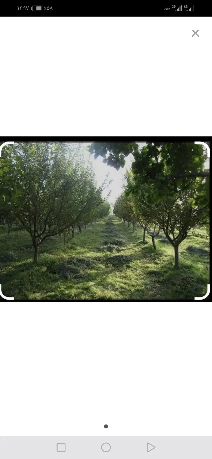فروش زمین