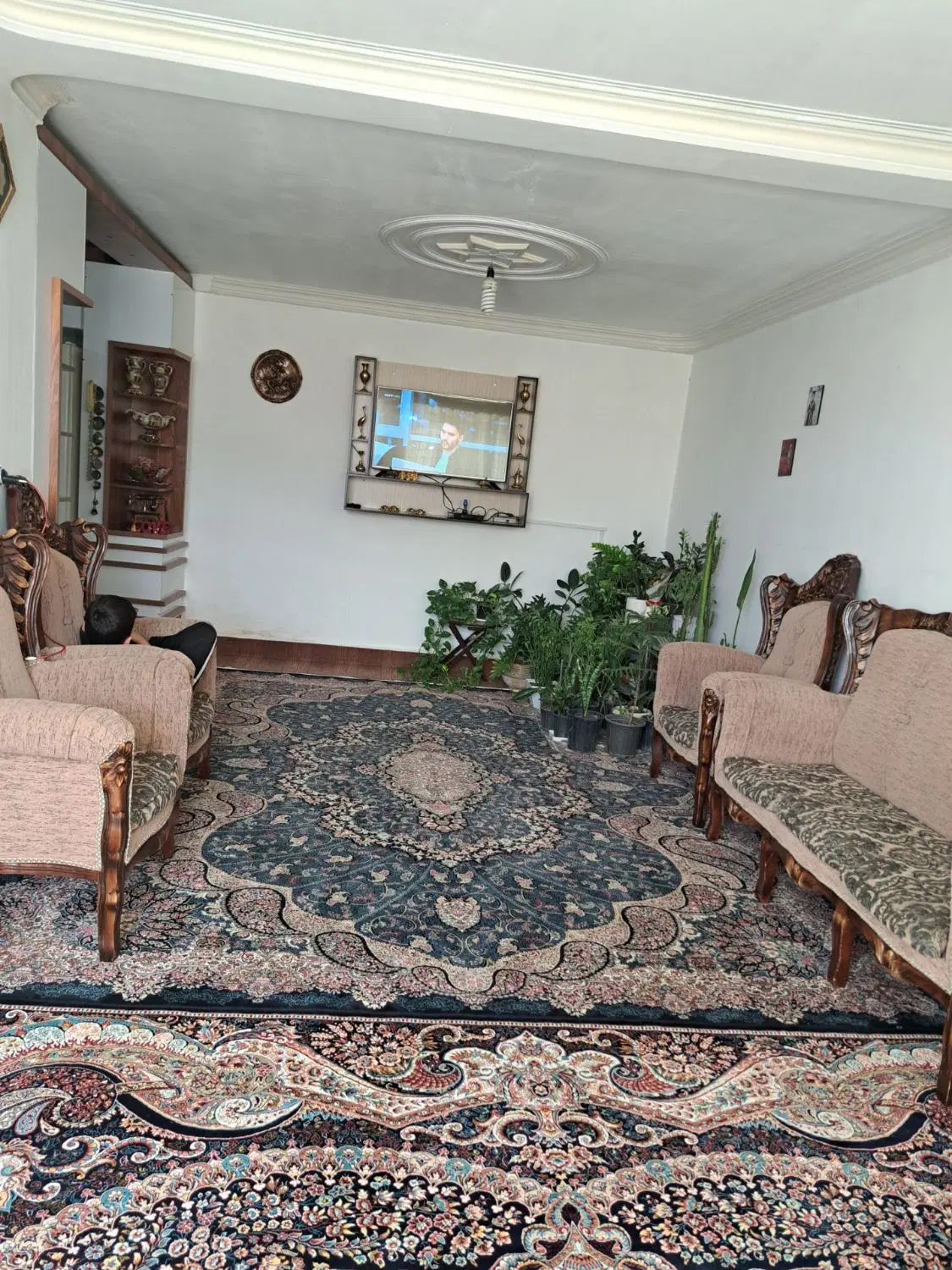 ویلایی شترک