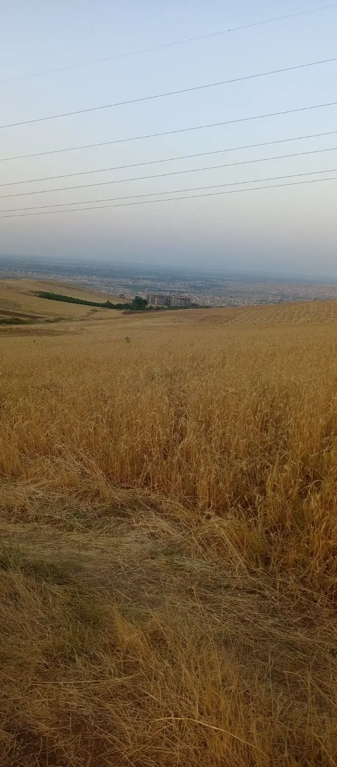 88متربغل ساخت ساز 260ملیون