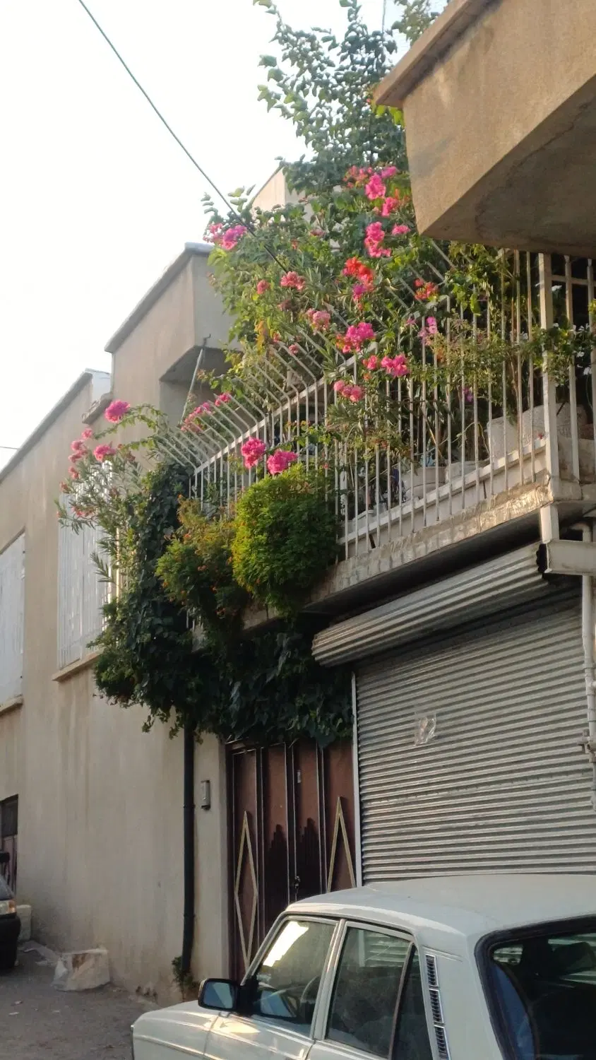 مالم گه‌رک اجاره