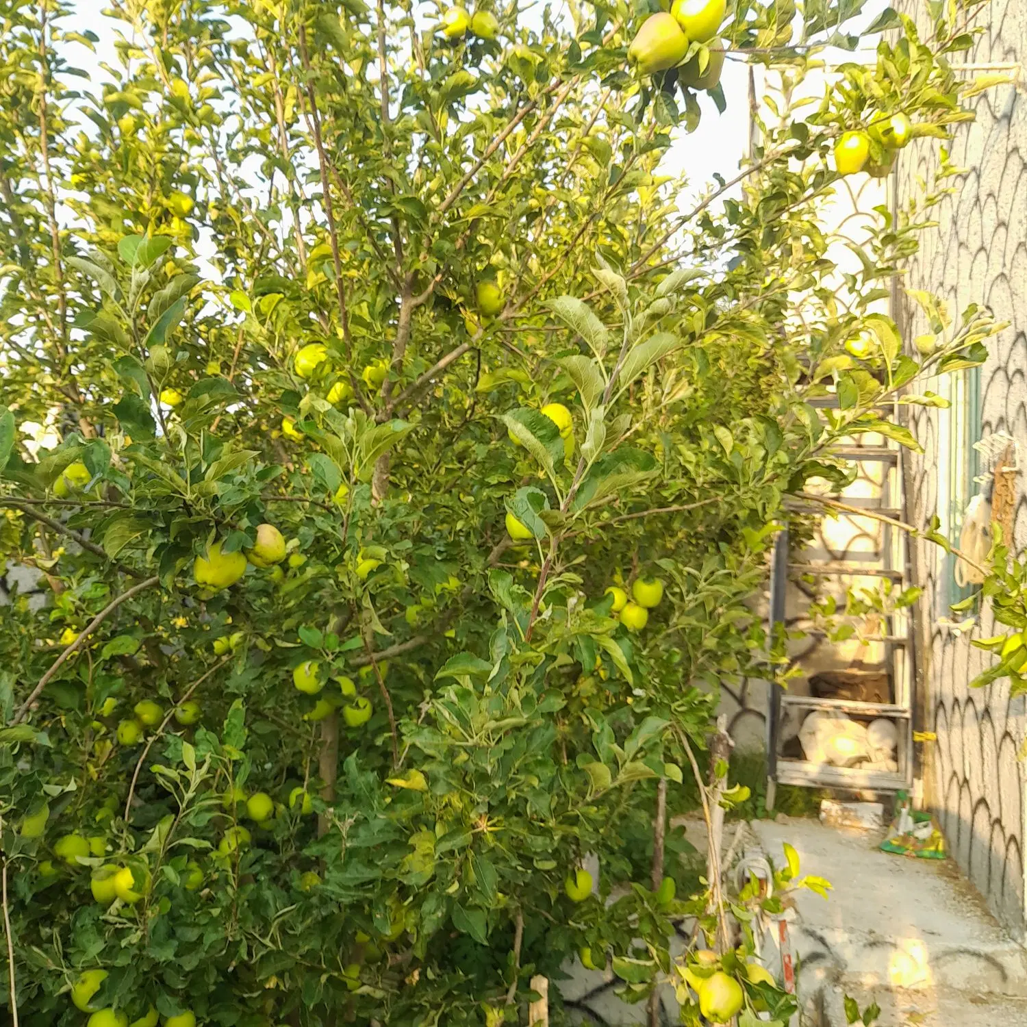 خانه ویلای ۱۲۰متر