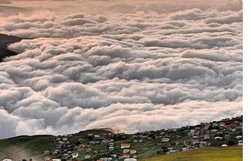۳۰۰متر زمین در دشت زیبای جواهر دشت گیلان