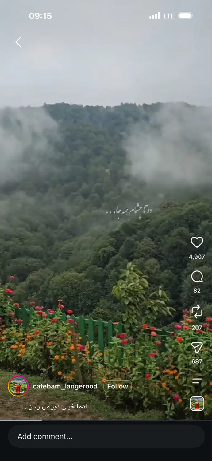 باغ ویلا مشجر