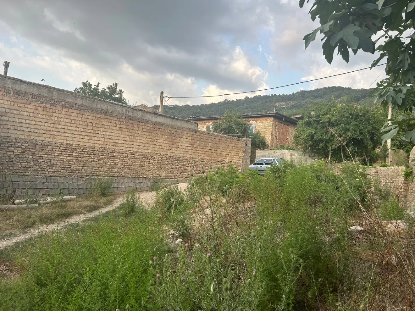 زمین مسکونی کوهمیان
