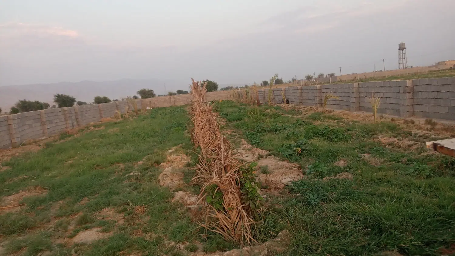 فروش زمین