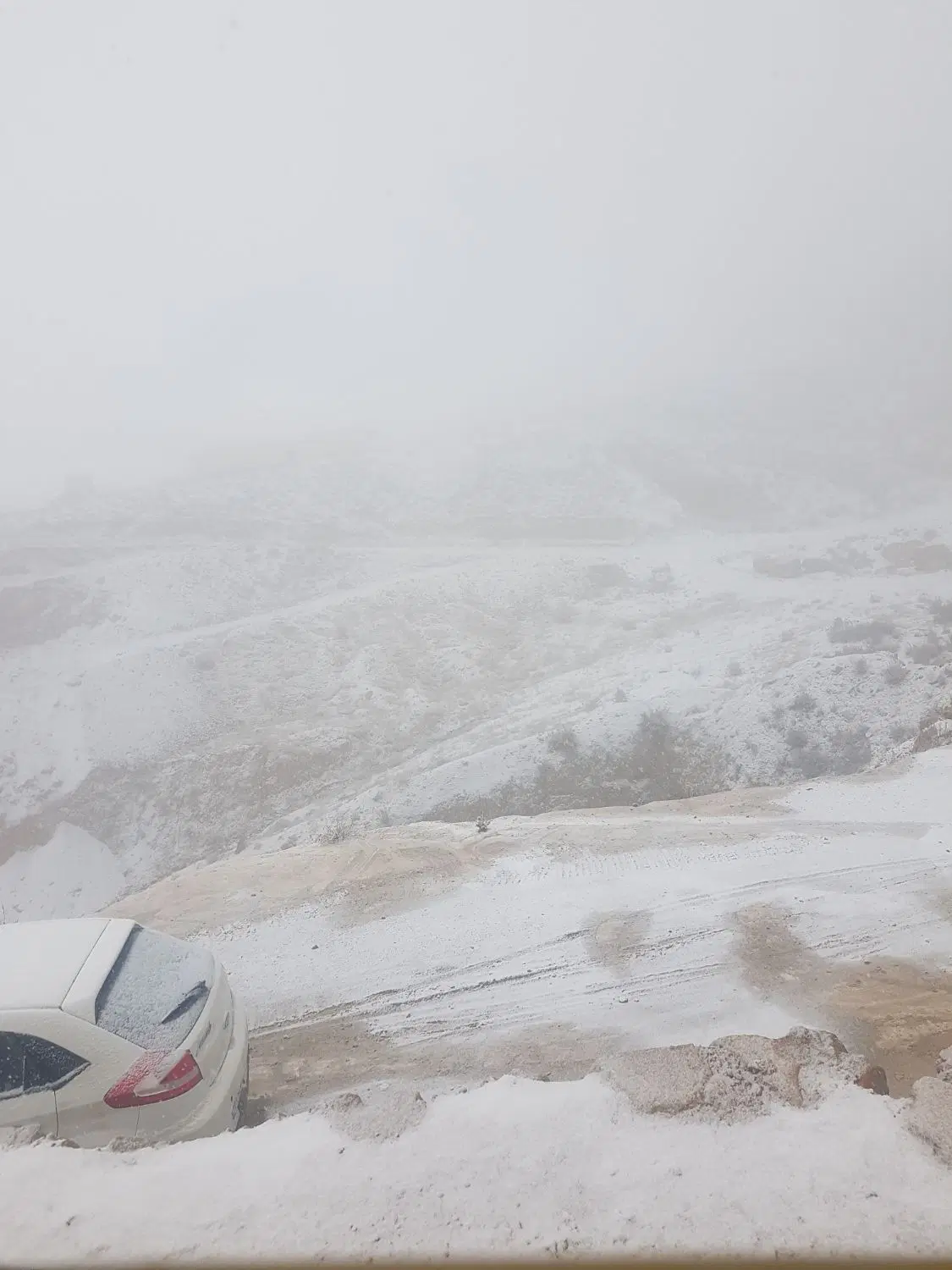 زمین کمربندی علی اباد