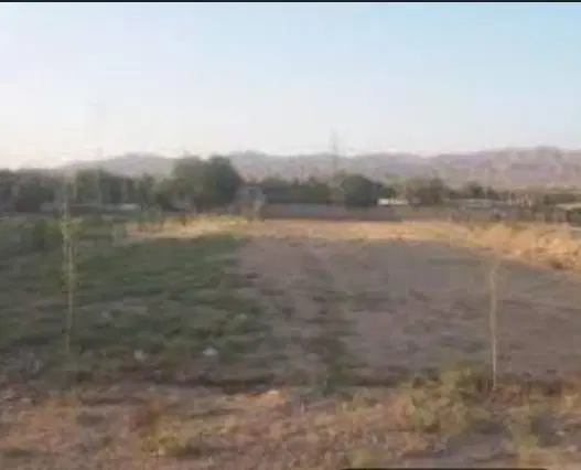 زمین جزیره مینو