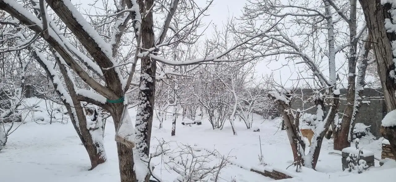 فروش ملک ویلایی