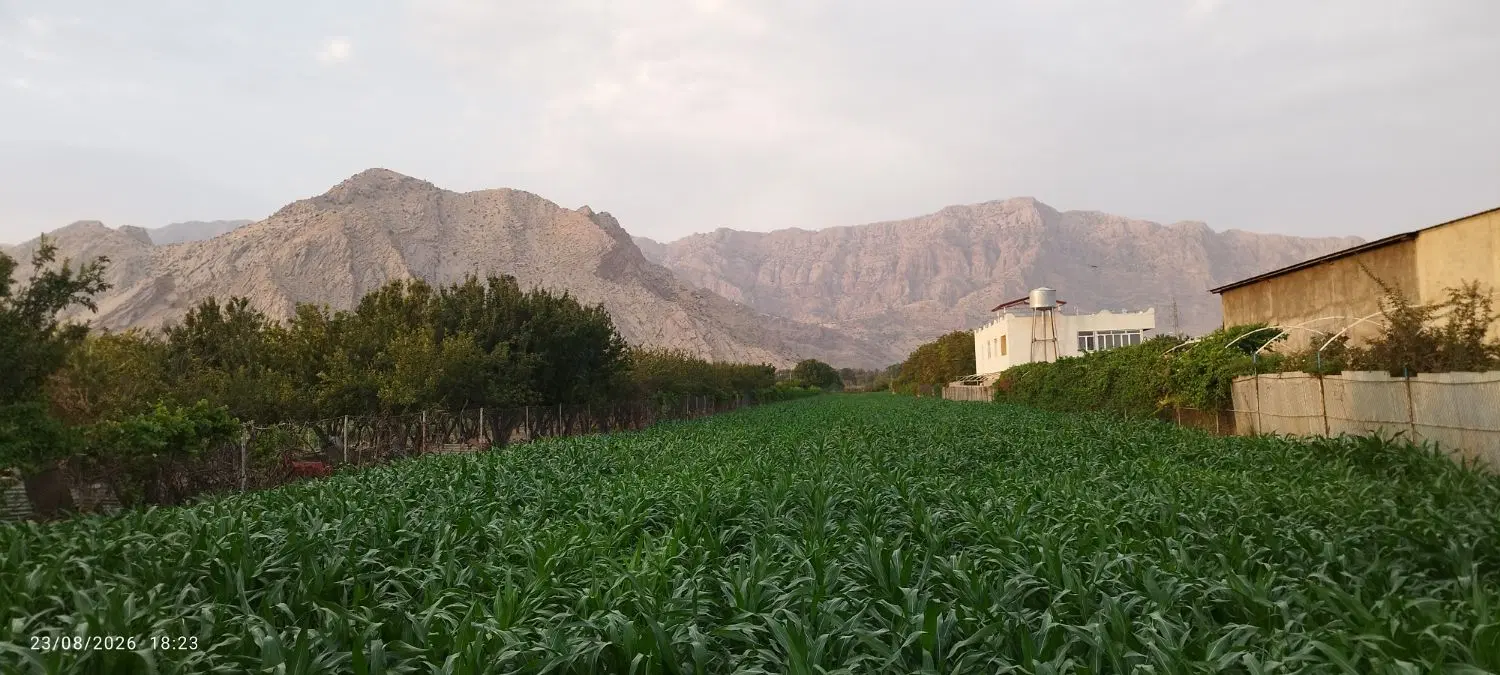 زمین کشاورزی وباغی