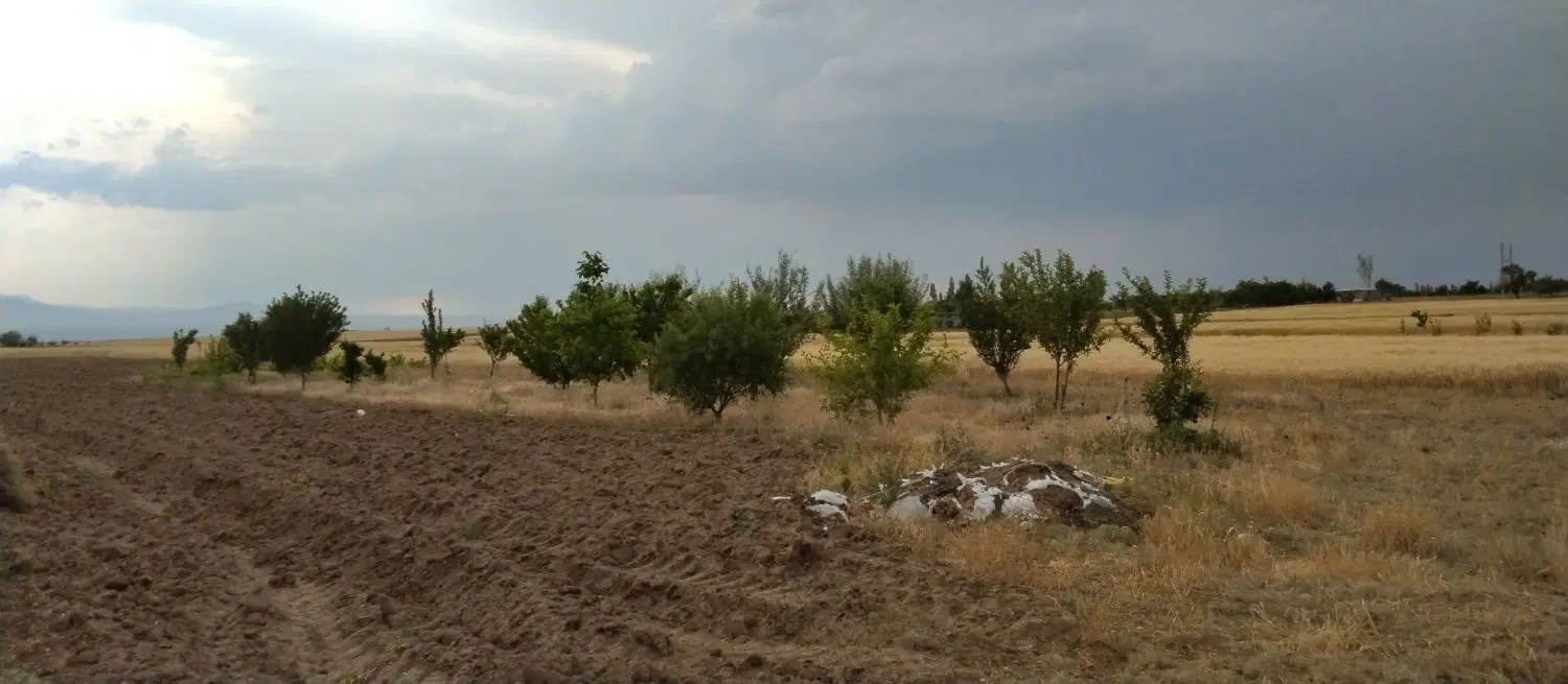 باغ در روستای سارمساقلو