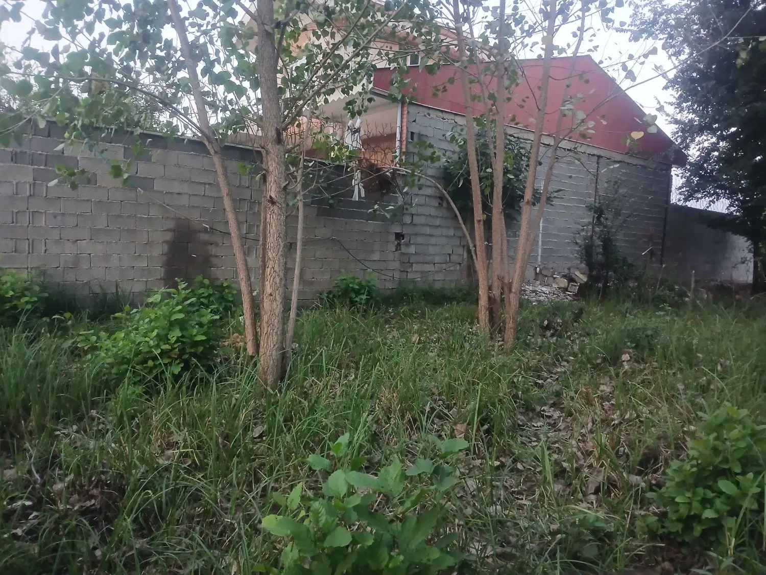 فروش زمین ۳۲۰ متر شهر رشت