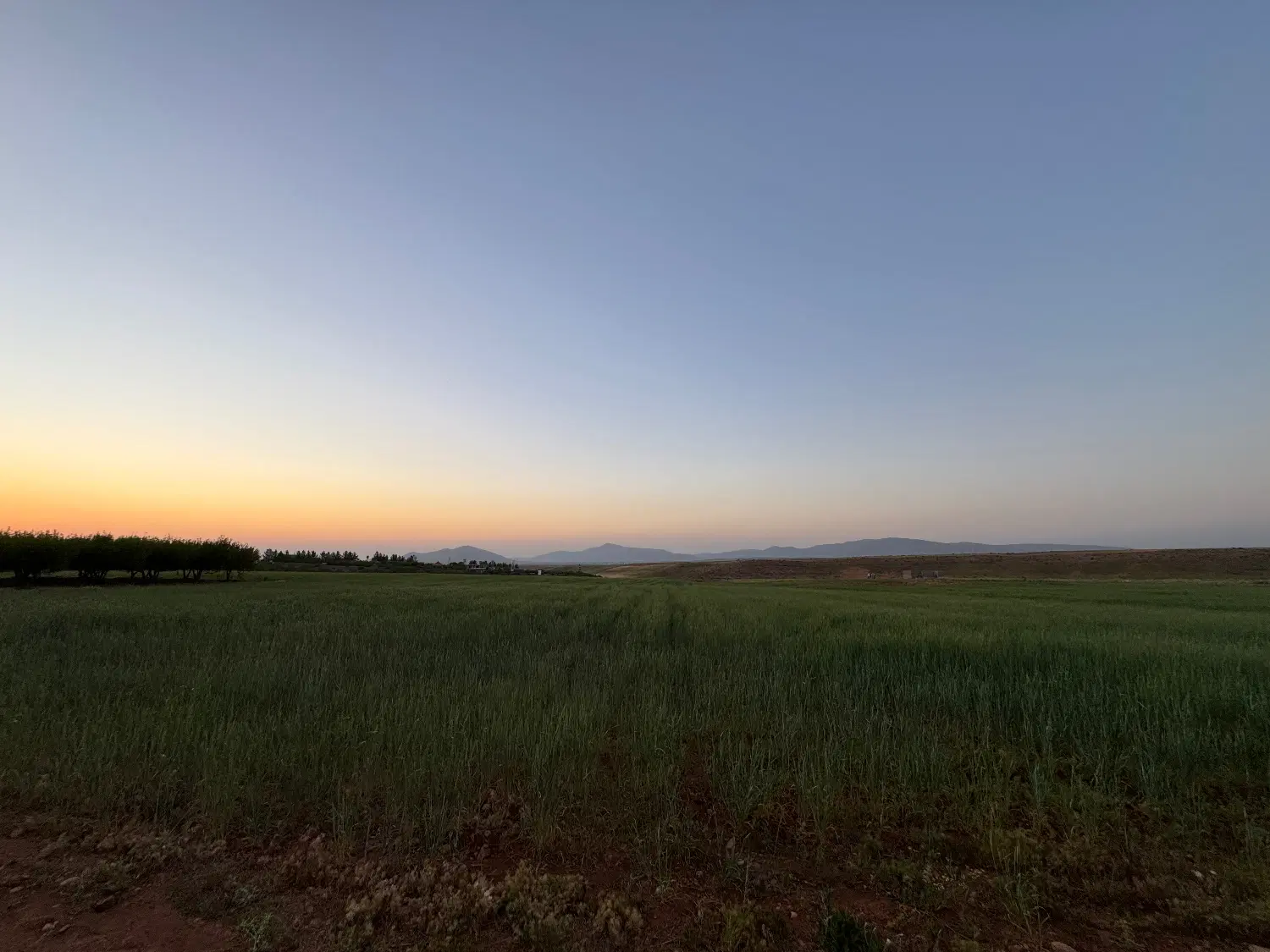 فروش زمین هکتاری کودیان