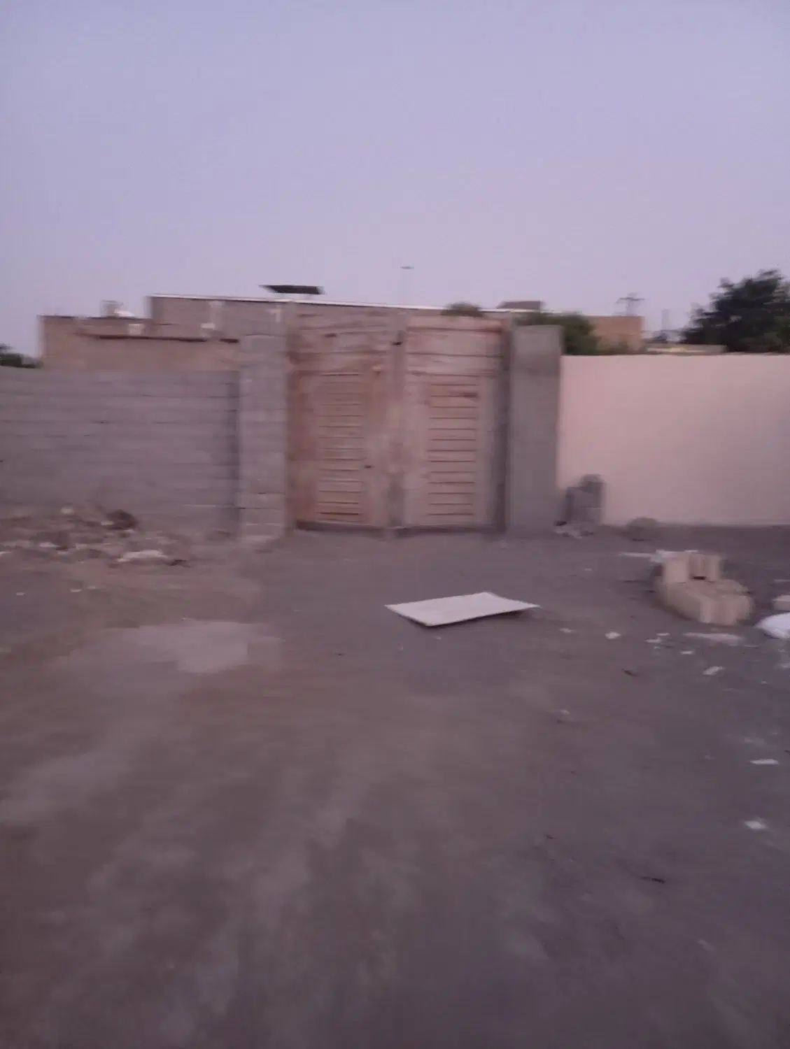 باغ سند تک برگ ملکی اول شاهنامه۳۵ زیر فی شکار