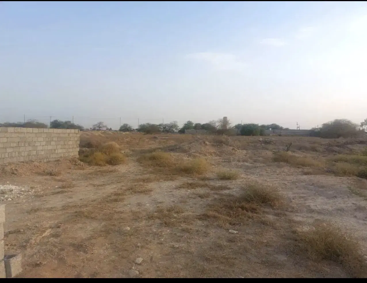 زمین باغی